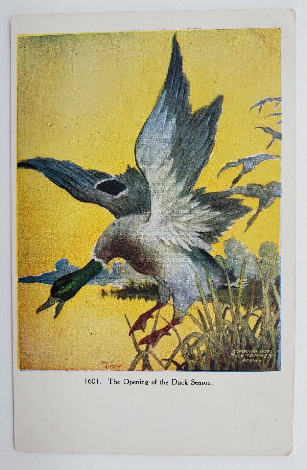 The Opening of Duck Season Signed Embossed Art Card 1907 Postcard G94