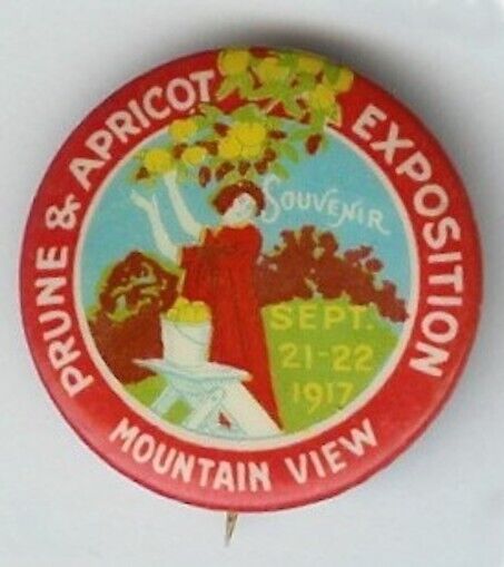 California Souvenir Pinback Prune & Apricot Mountain View 1917 Antique #3 Pin