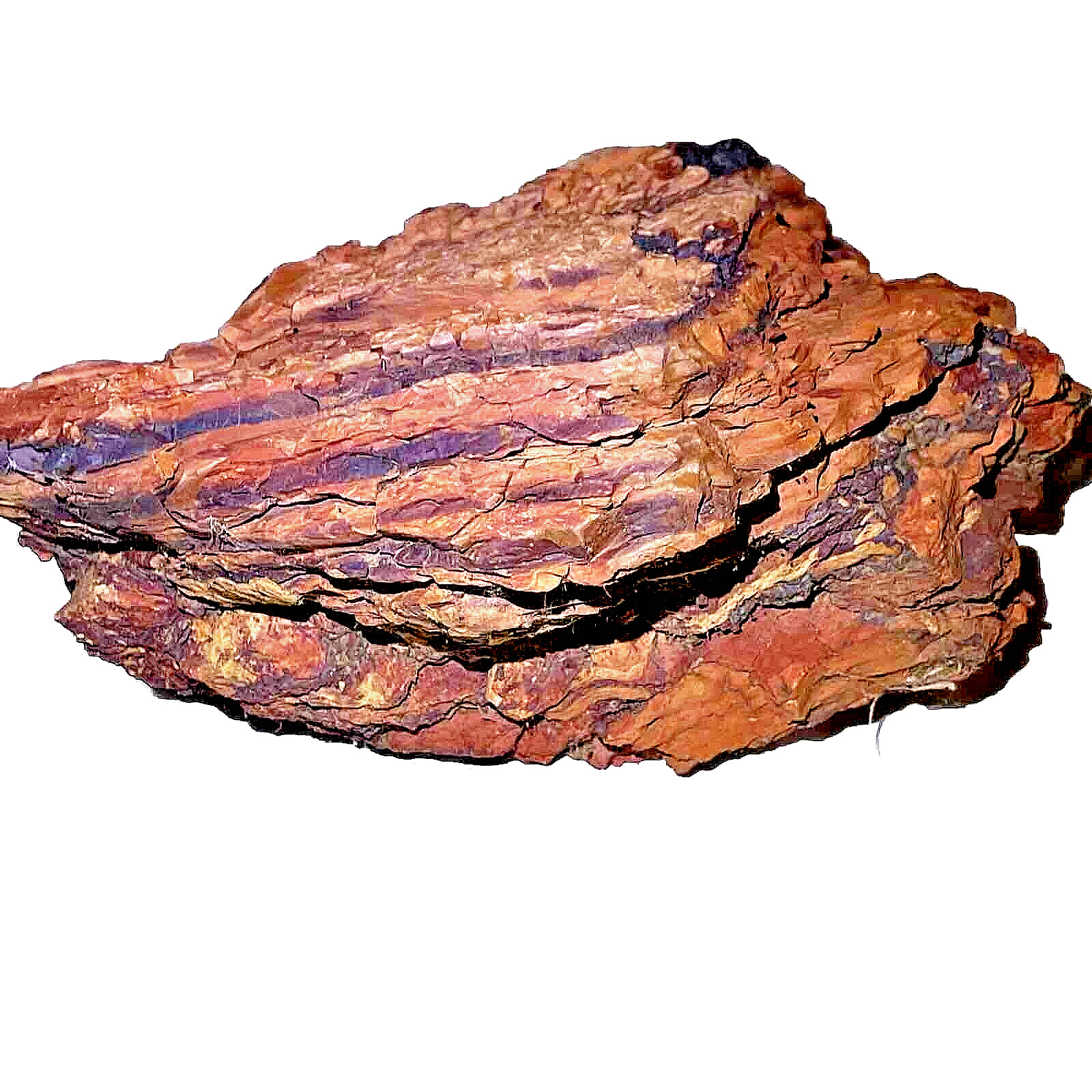 Natural Genuine Shale “mud rock” Sedimentary Mineral Specimen  8lbs 13oz 9.5x8.5