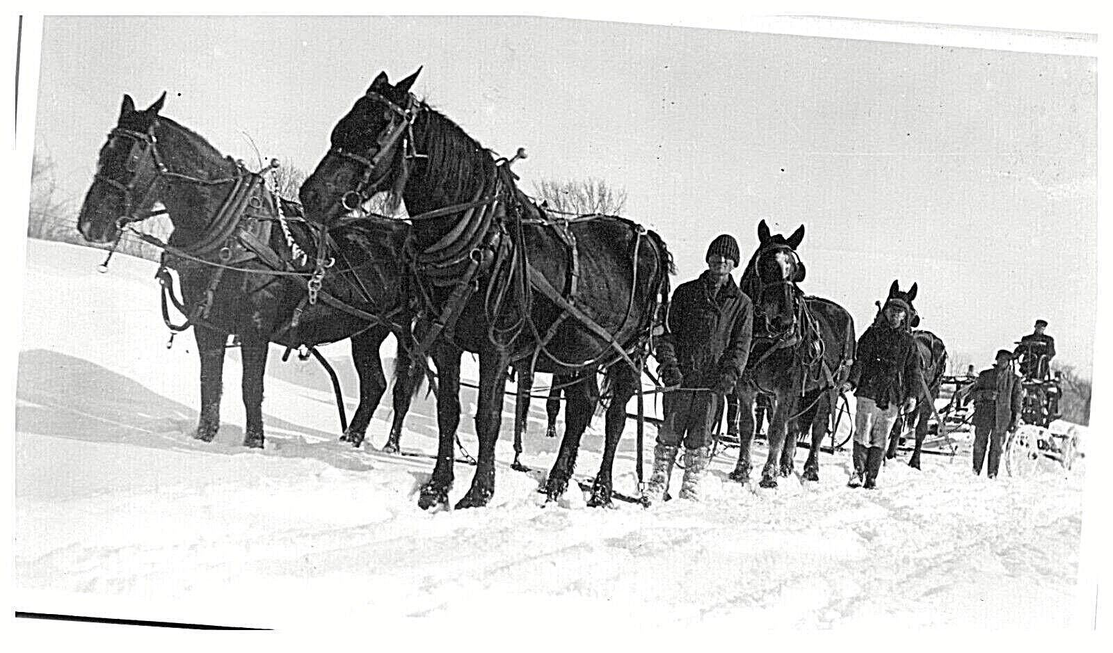 RPPC Team of Horses Mules pulling a wagon in snow assisted by 4 men; REAL PHOTO 