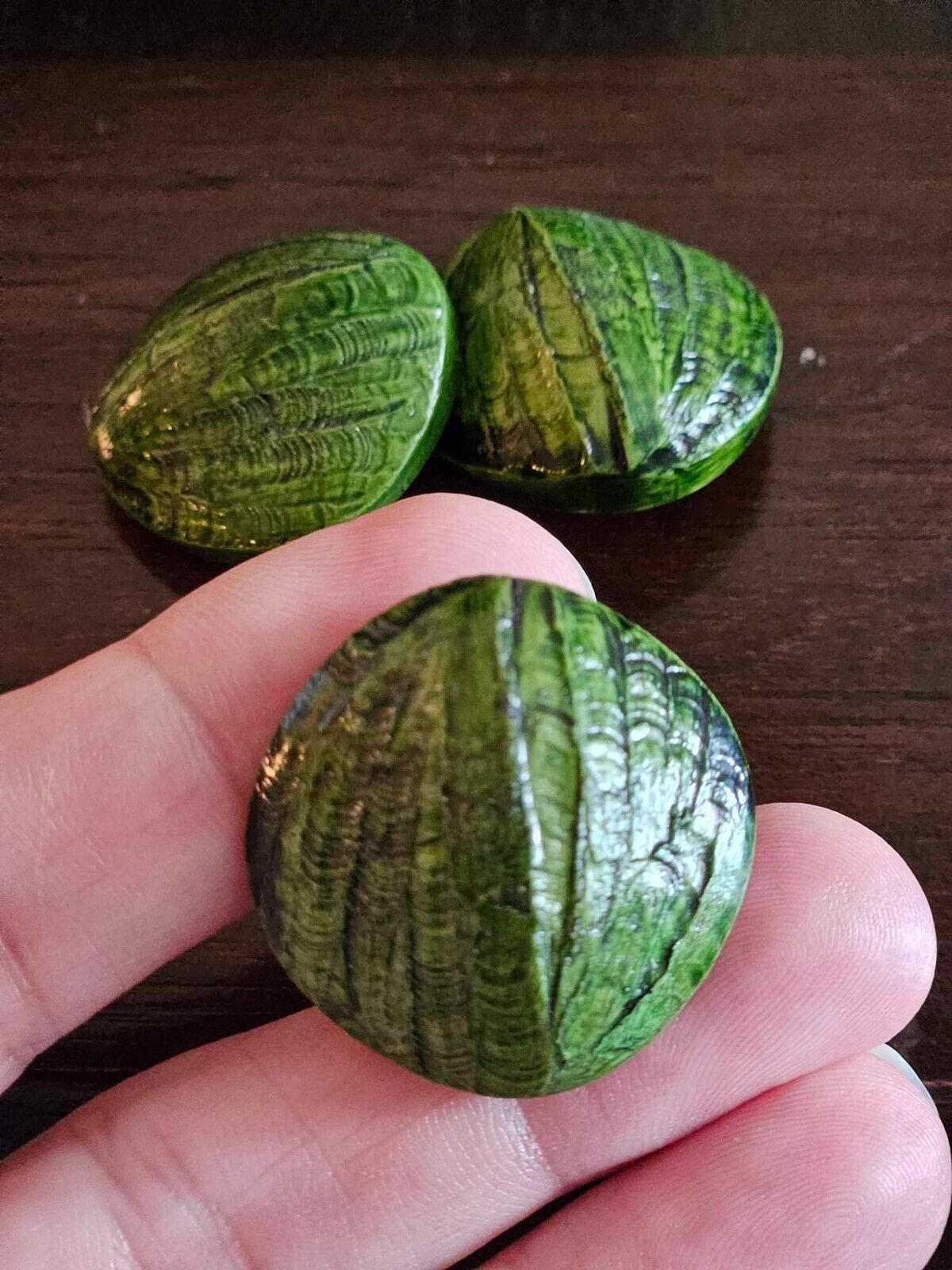 Large Vintage Buttons, Green, Rare Find