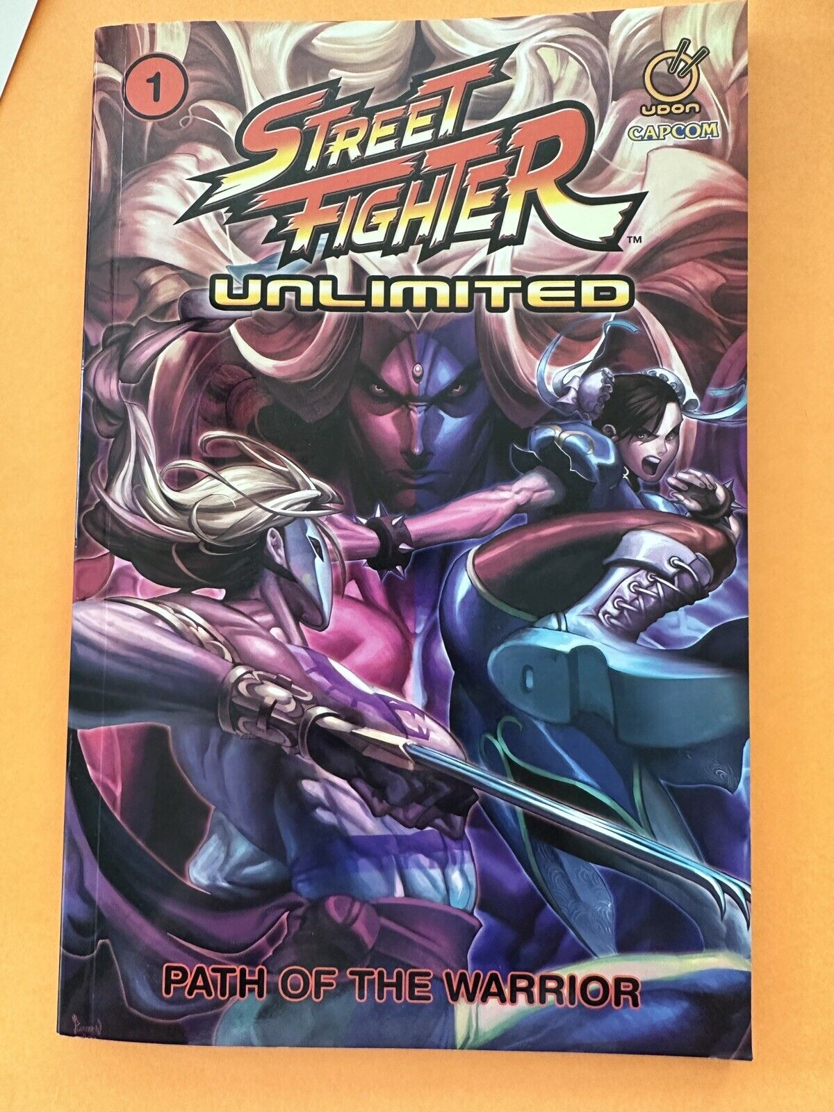 Street Fighter Unlimited Vol.1: Path of the Warrior by Adam Warren (English)