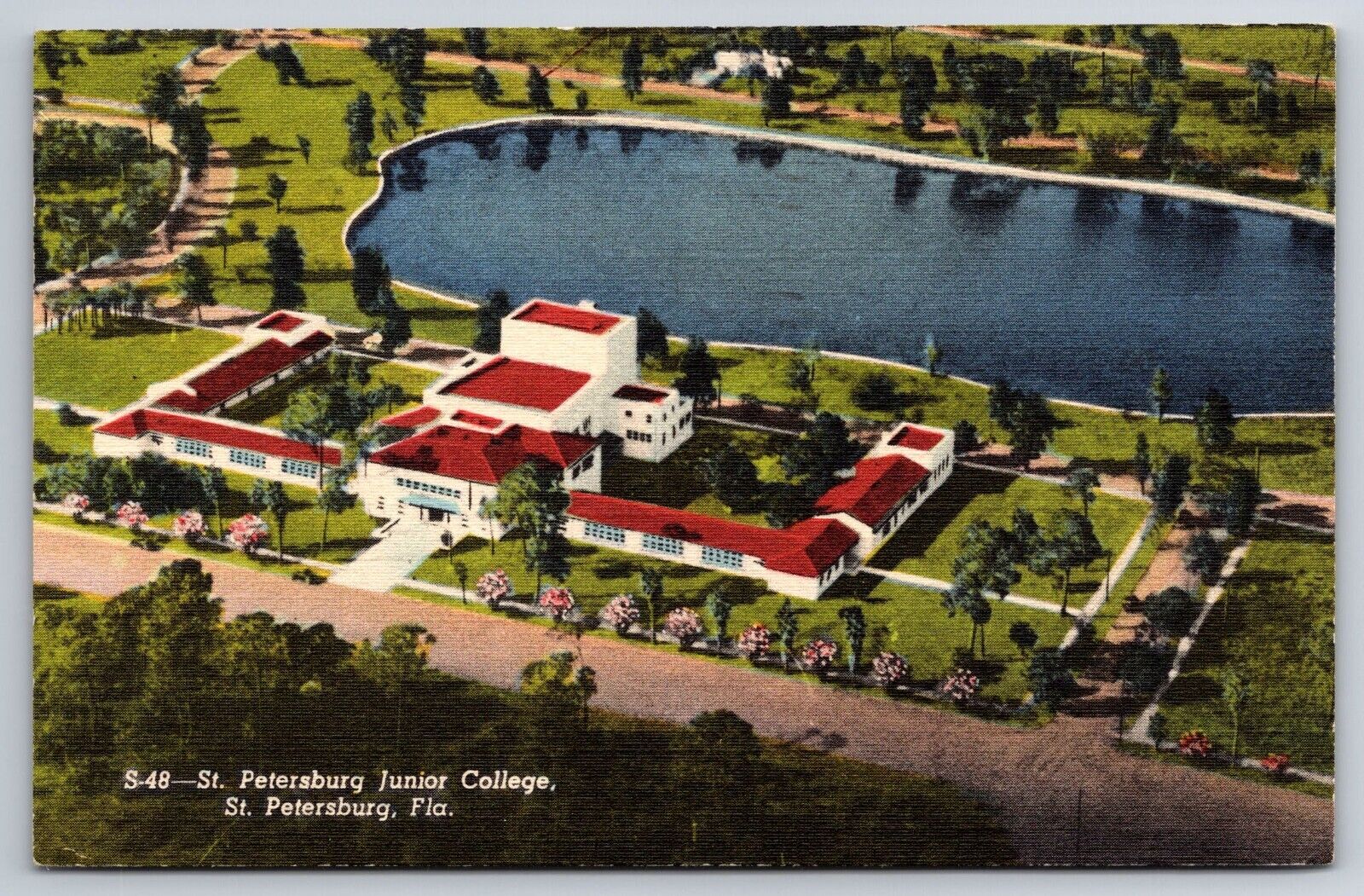A344 Vintage Postcard St. Petersburgh Junior College St. Petersburgh Florida Air