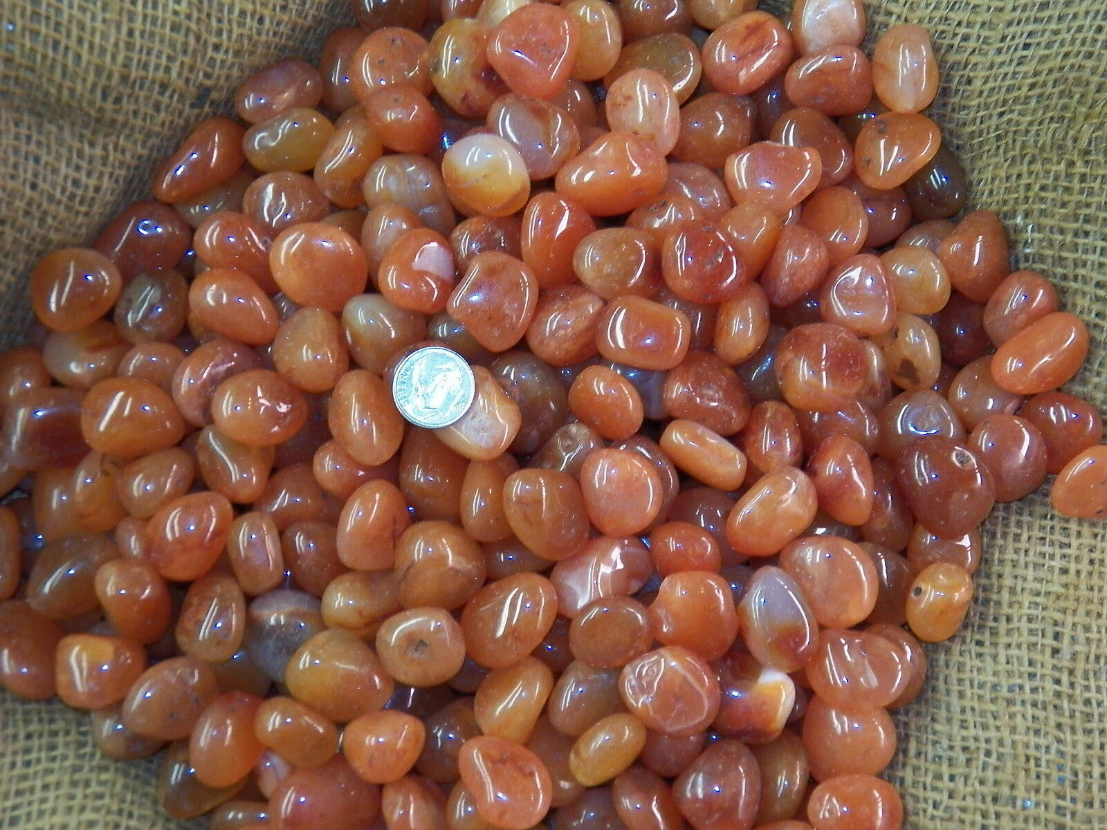 2000 Carat Lots of Polished Tumbled Carnelian + FREE Faceted Gemstone - HIGH END
