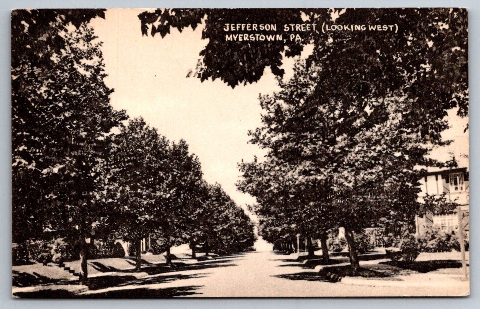 Postcard Myerstown PA Pennsylvania Jefferson Street Looking West Lebanon County
