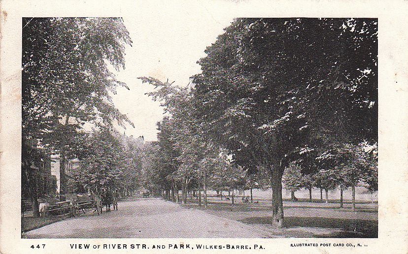 Postcard View river Str + Park Wilkes Barre PA