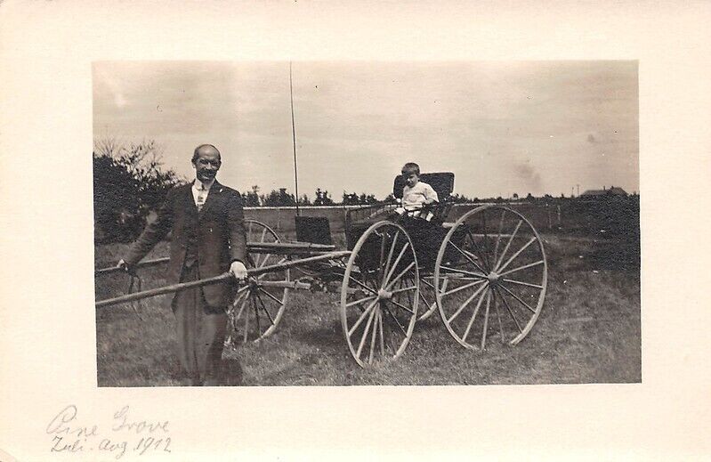 Pine Grove Aug 1912 Man Pulling Horse Carriage Real Photo
