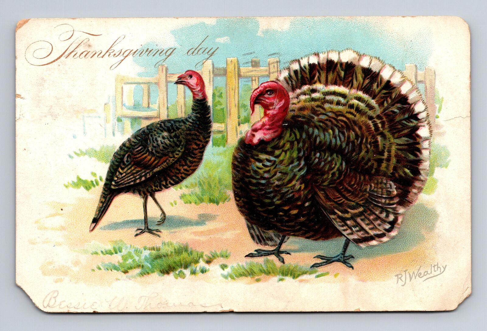c1906 UDB Postcard Raphael Tuck RH Wealthy Thanksgiving Day Turkeys
