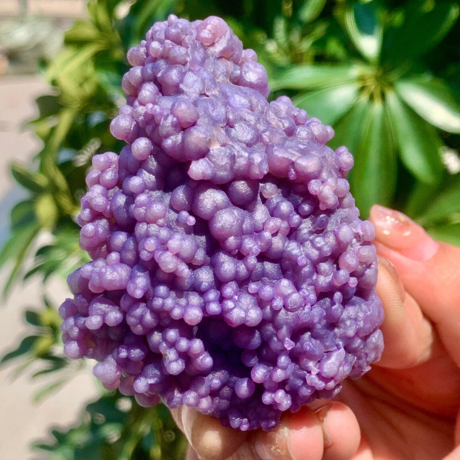 124G Beautiful Natural Purple Grape Agate Chalcedony Crystal Mineral Specimen