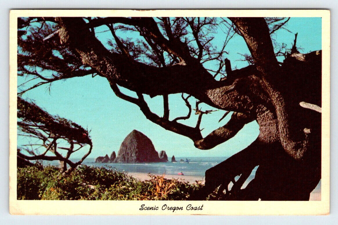 Scenic Oregon Coast Vintage Postcard AF530