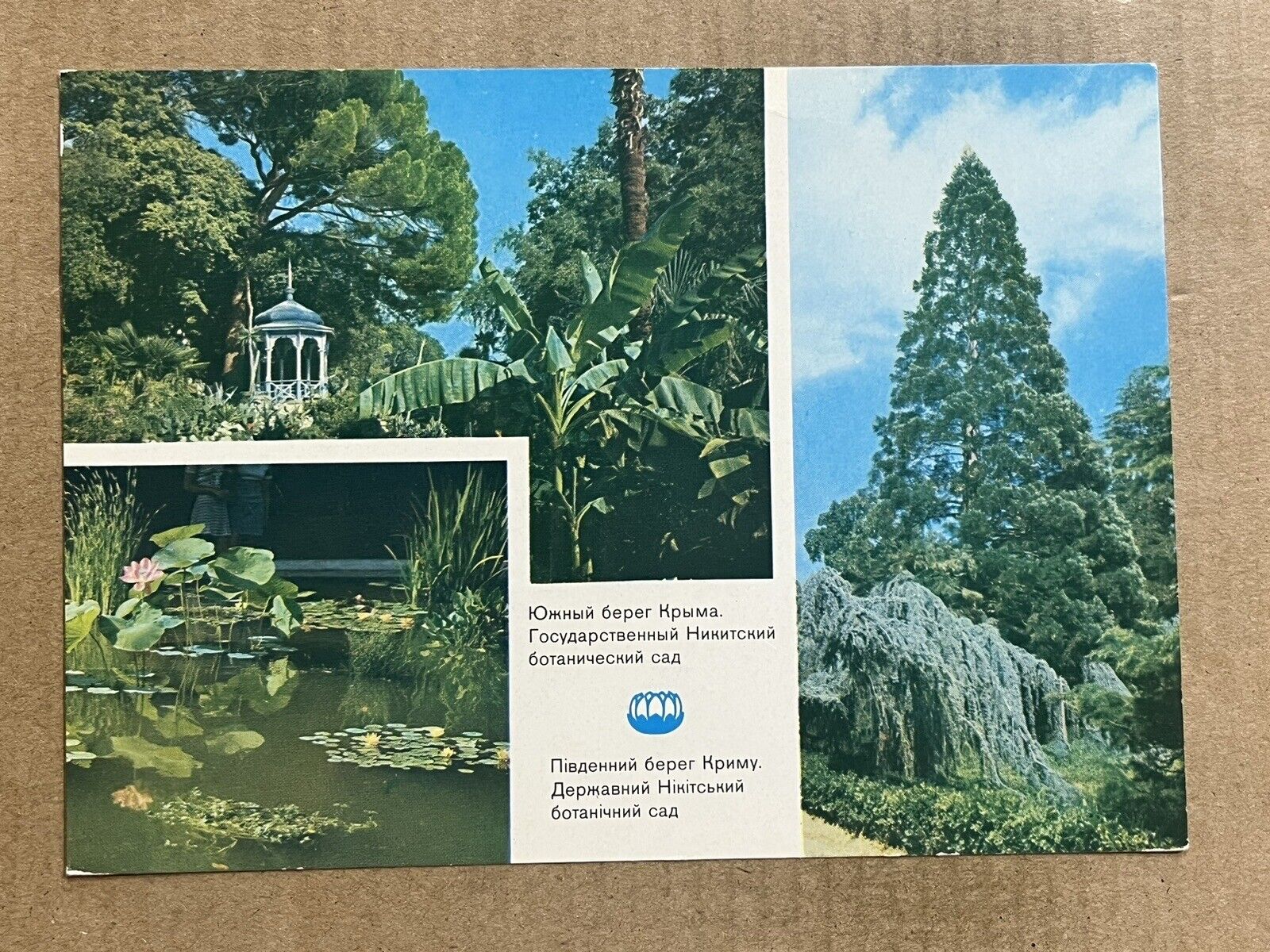 Postcard Crimea Ukraine USSR Russia Nikita Botanical Gardens Near Yalta Vintage