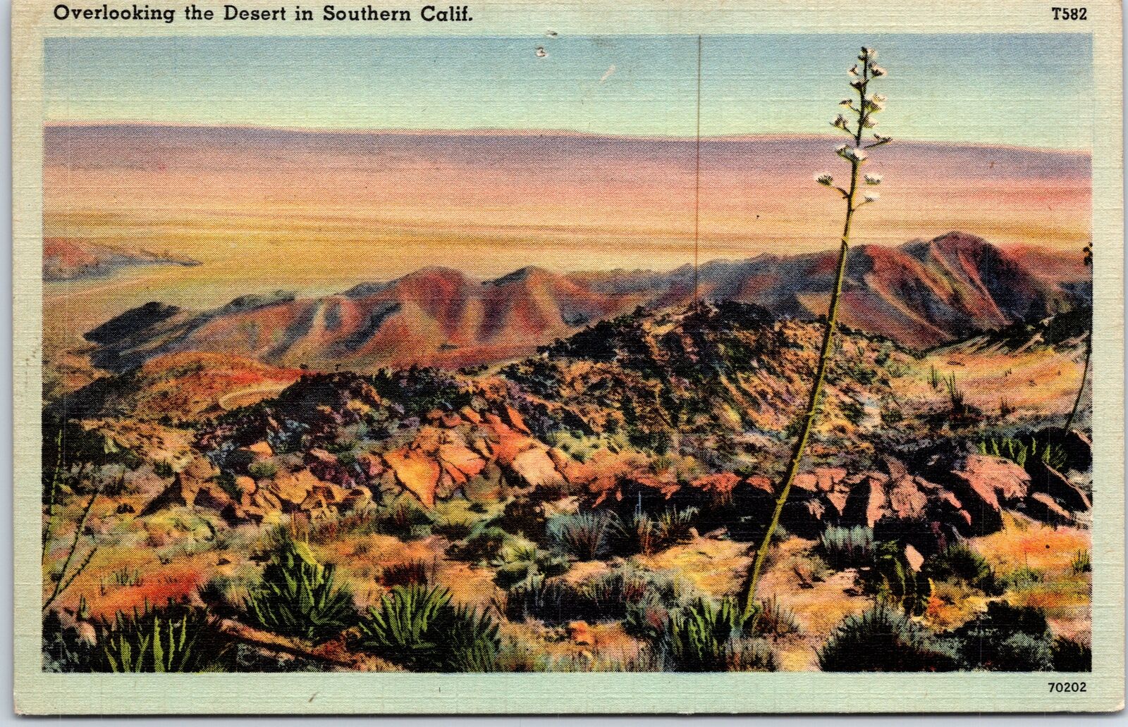VINTAGE POSTCARD OVERLOOKING THE DESERT IN SOUTHERN CALIFORNIA c. 1930s
