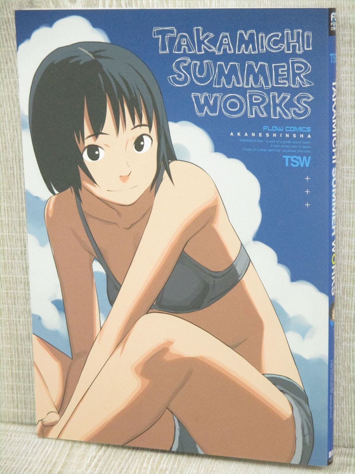 TAKAMICHI SUMMER WORKS Art Illustration Book 00*