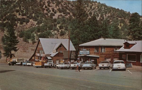 1966 About Wrightwood,CA San Bernardino County California Dexter Press Inc.
