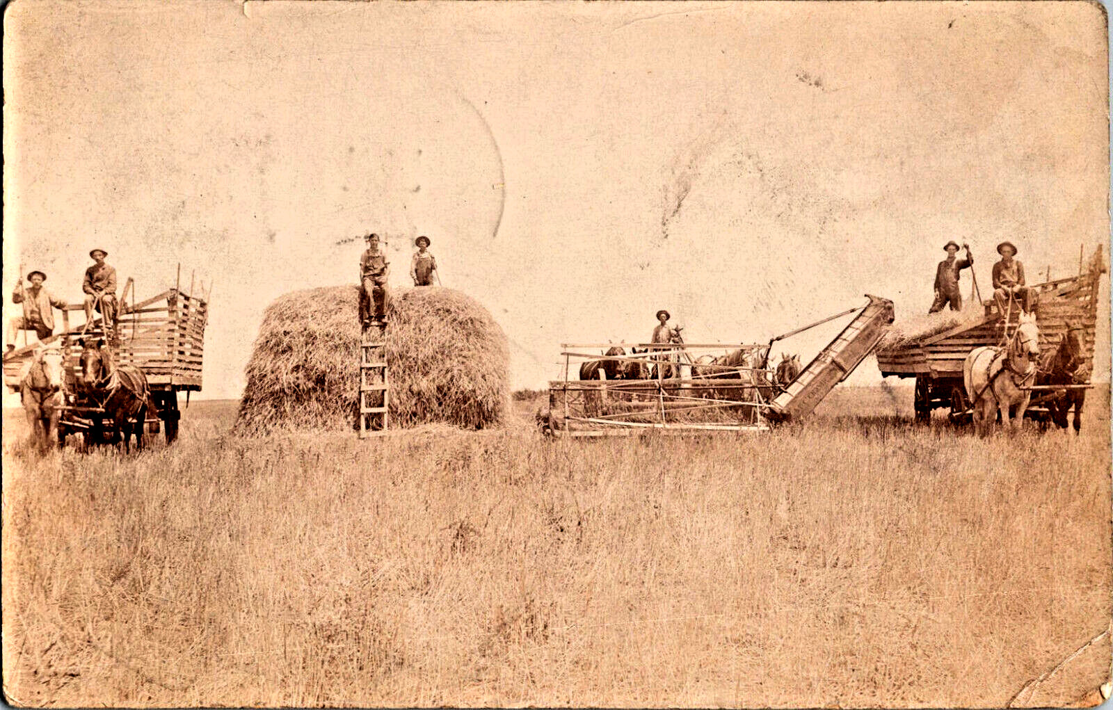VTG RPPC Postcard Caney, Kansas 1910 Kansas Farmers Harvest Horses Joe Miller