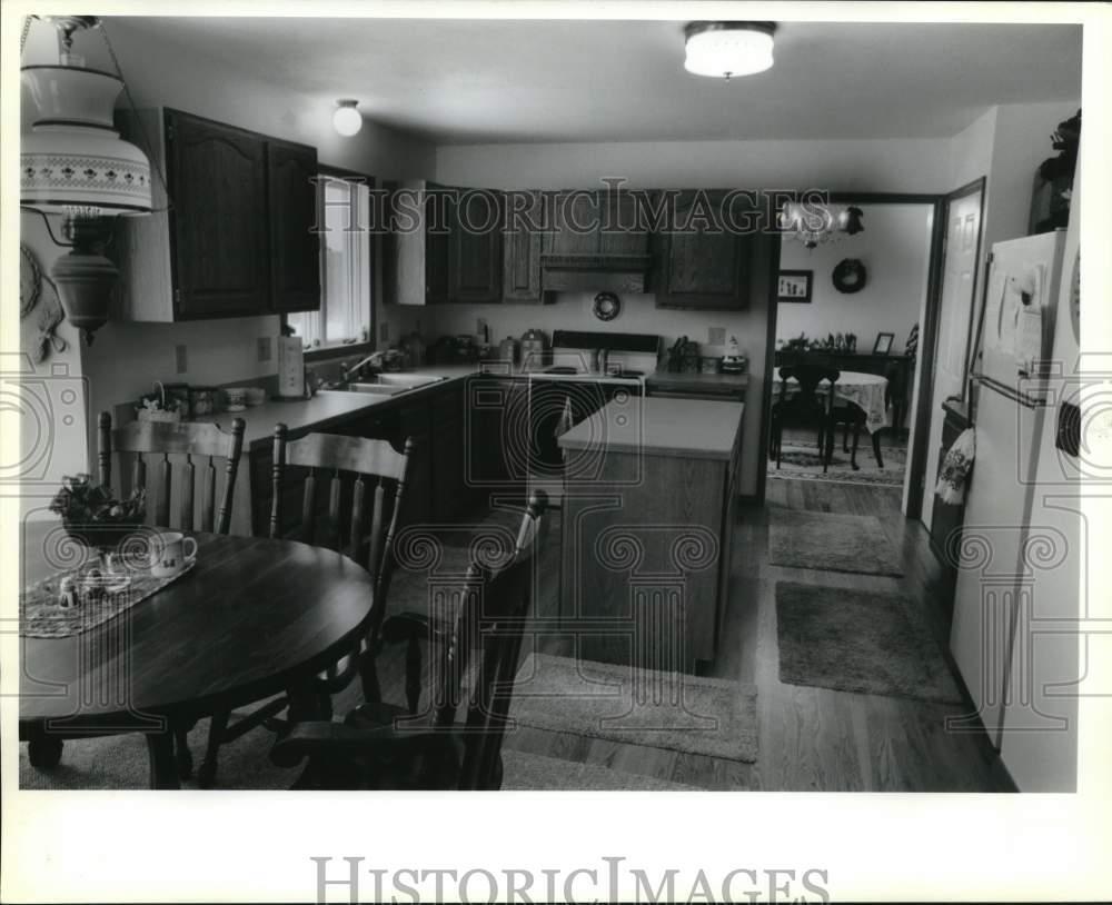 1989 Press Photo Kitchen of Lou Paventy House on Cleveland Road, Onondaga