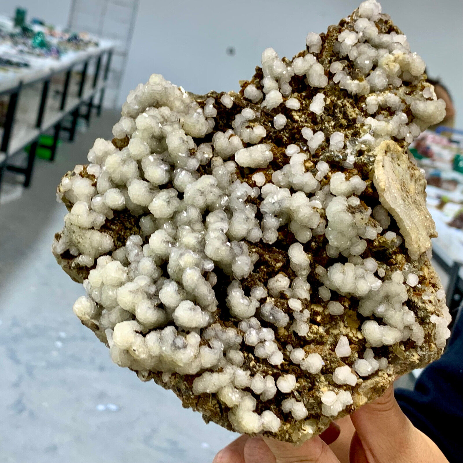 5.29LB Natural Milky calcite on somkey Quartz Cluster From Inner Mongolia China