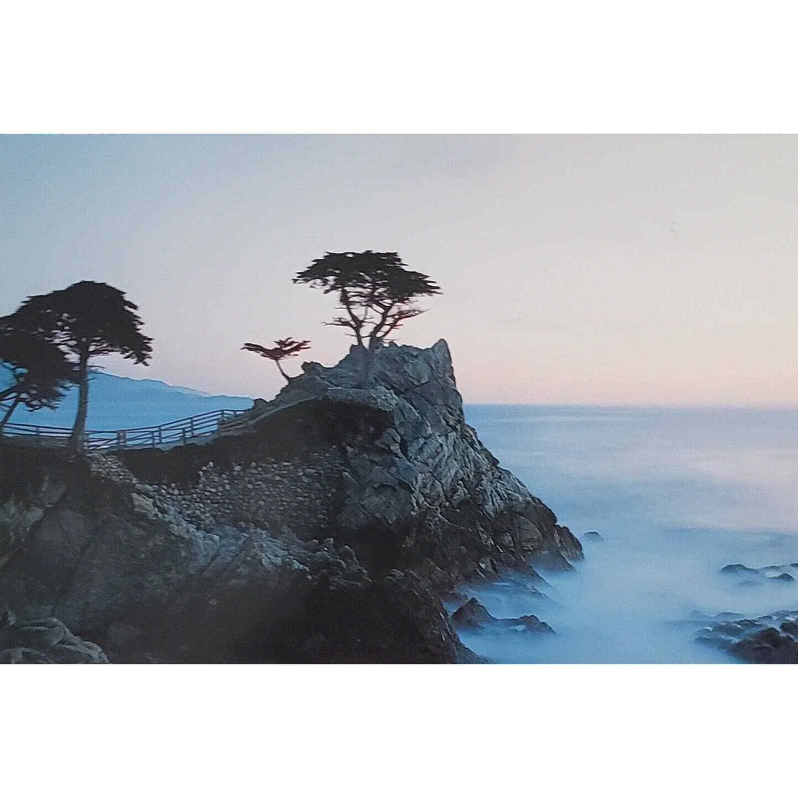 Lone Cypress Tree Pebble Beach CA Postcard Cliff Sea
