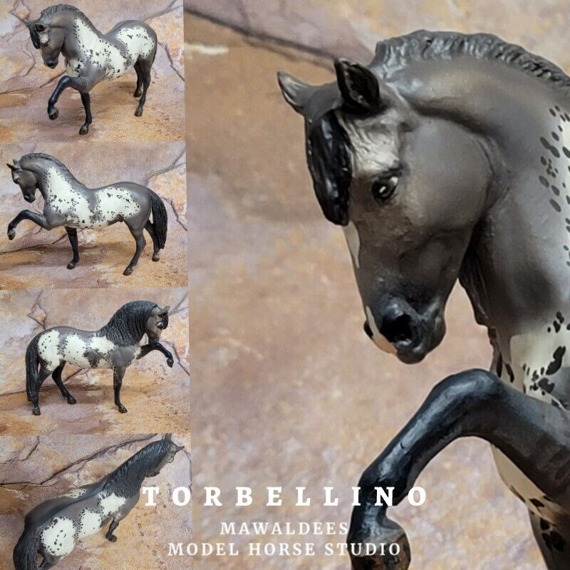 Breyer Legionario Custom Tovero Appaloosa Model Horse Torbellino by mawaldees