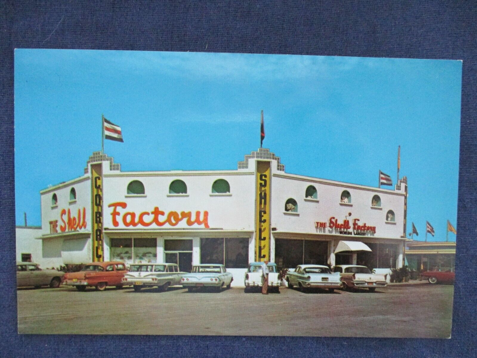 1960s Fort Myers Florida The Shell Factory Roadside Stop & Cars Postcard