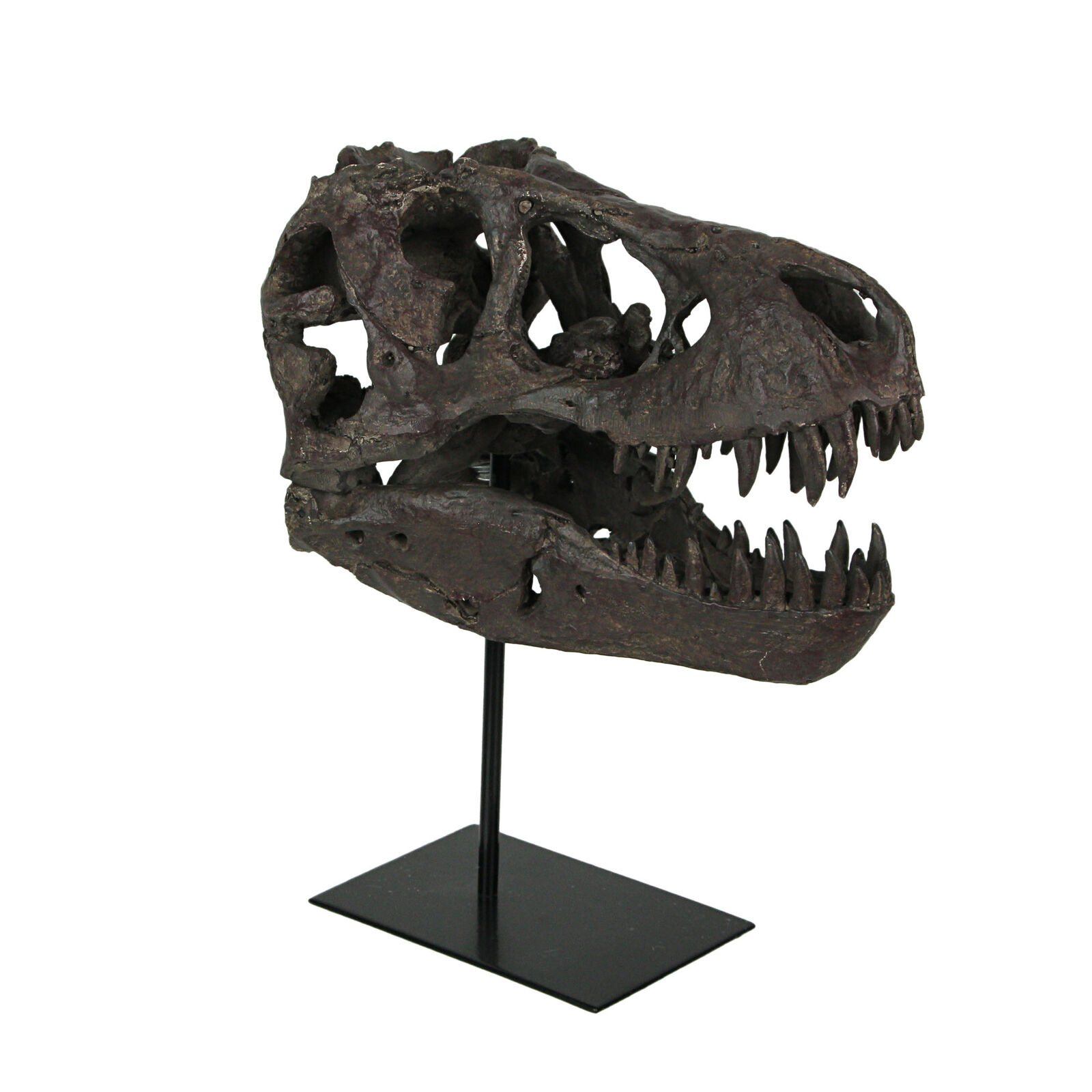 Zeckos T-Rex Dinosaur Skull Mounted Tyrannosaurus Rex Fossil Statue
