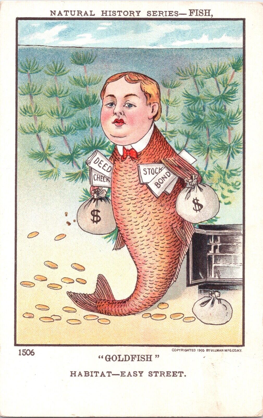 Postcard Natural History Series Fish Wall St Goldfish Money 1905