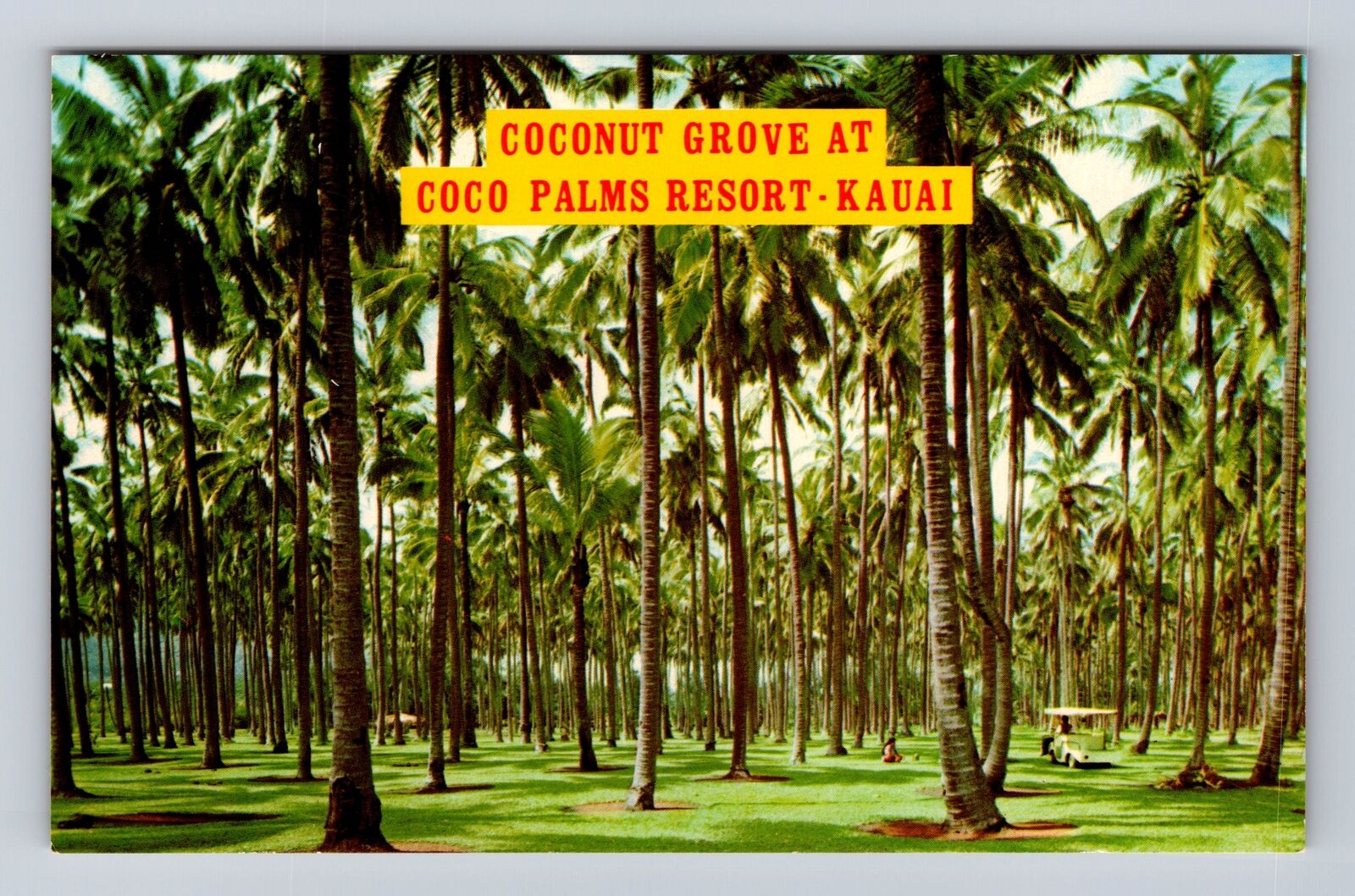 Kauai HI-Hawaii, Coconut Grove, Coco Palms Resort Hotel, Vintage Postcard