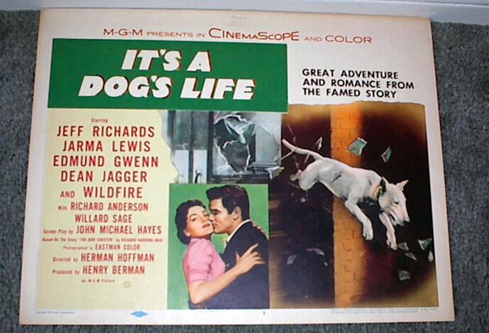BULL TERRIER original 1955 movie poster IT\'S A DOG\'S LIFE/JEFF RICHARDS