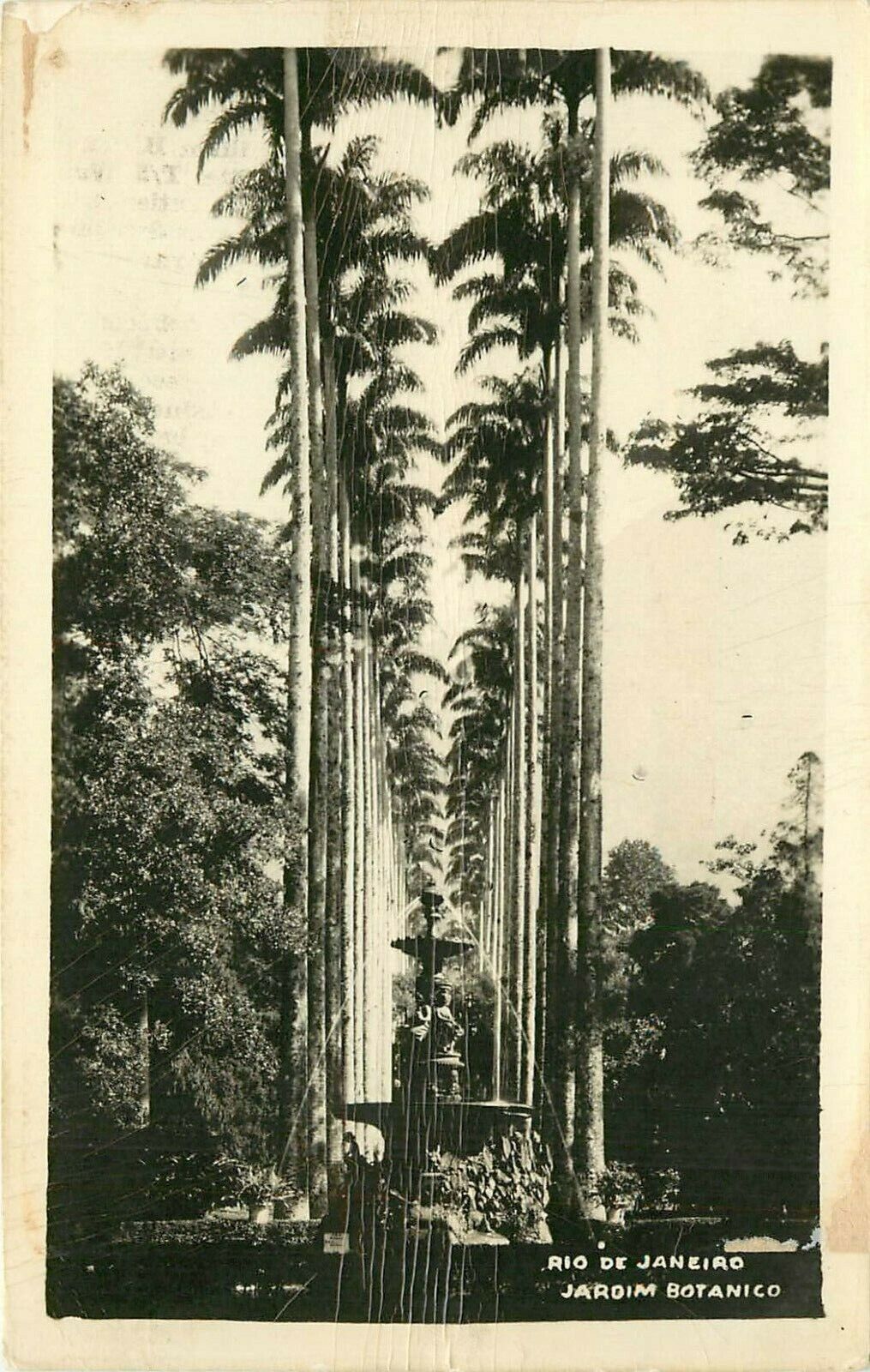 Rio De Janeiro Jardim Botanico RPPC tall palm trees and fountain Brazil Postcard