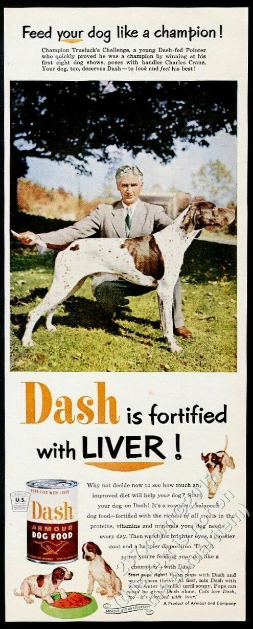 1957 pointer photo champion dog Dash Dog Food vintage print ad