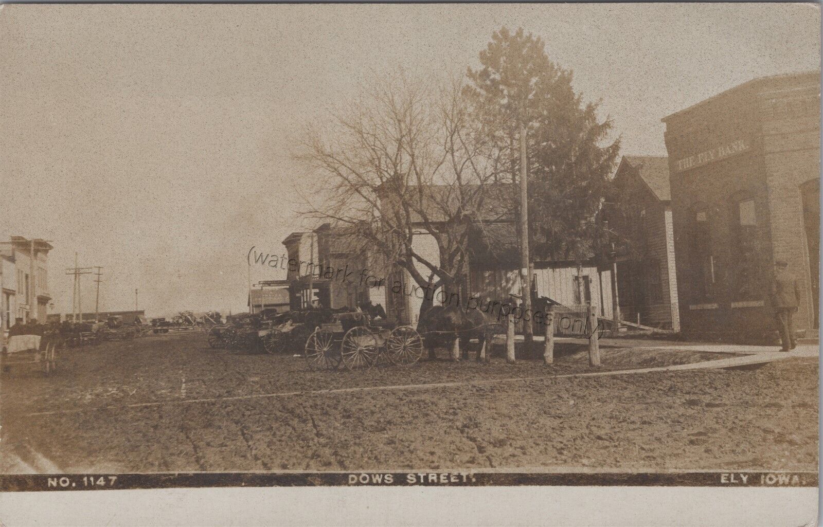 Ely, IA: RPPC Dows Street, horses, Vintage Linn County, Iowa Real Photo Postcard