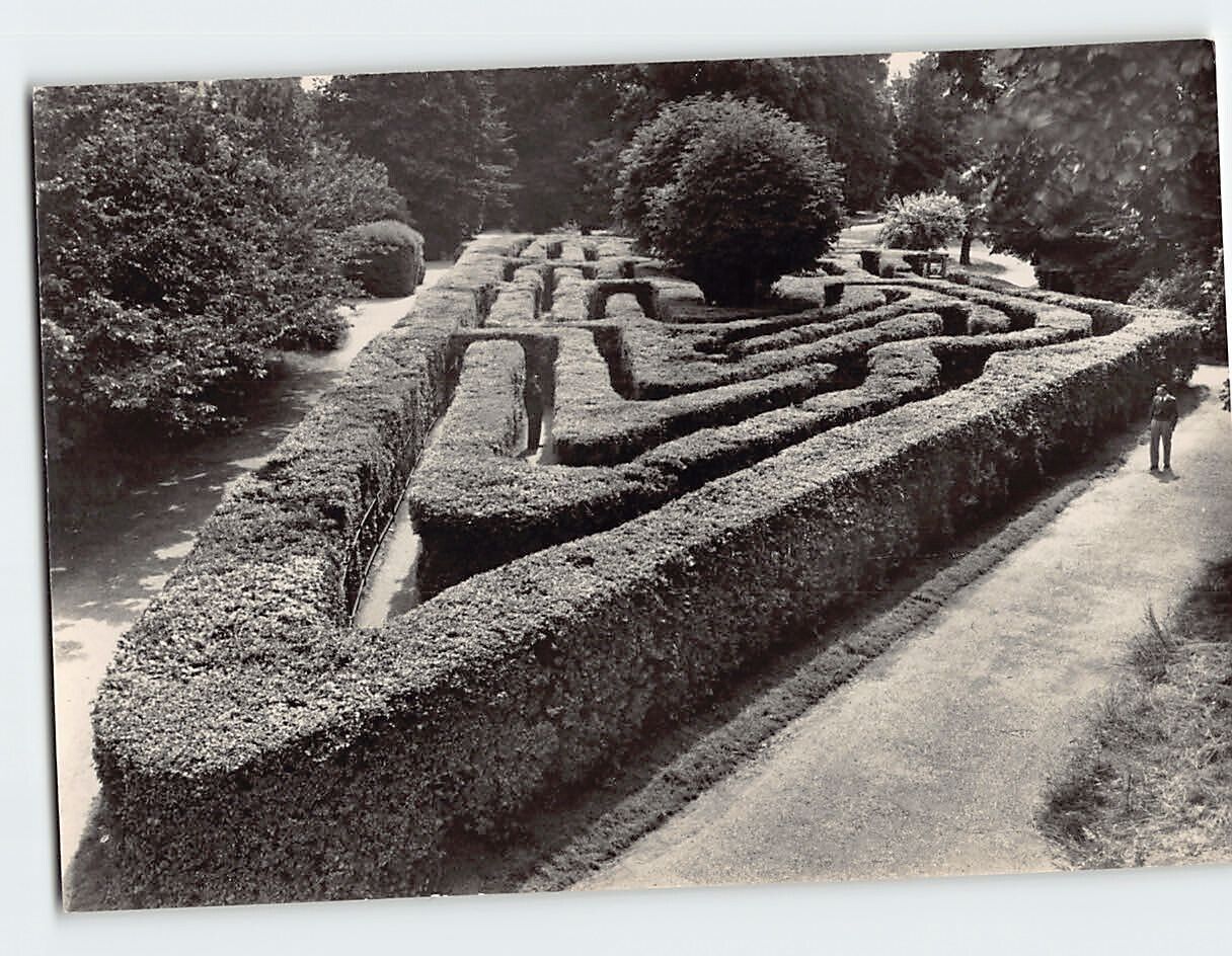 Postcard The Maze Hampton Court Palace East Molesey England