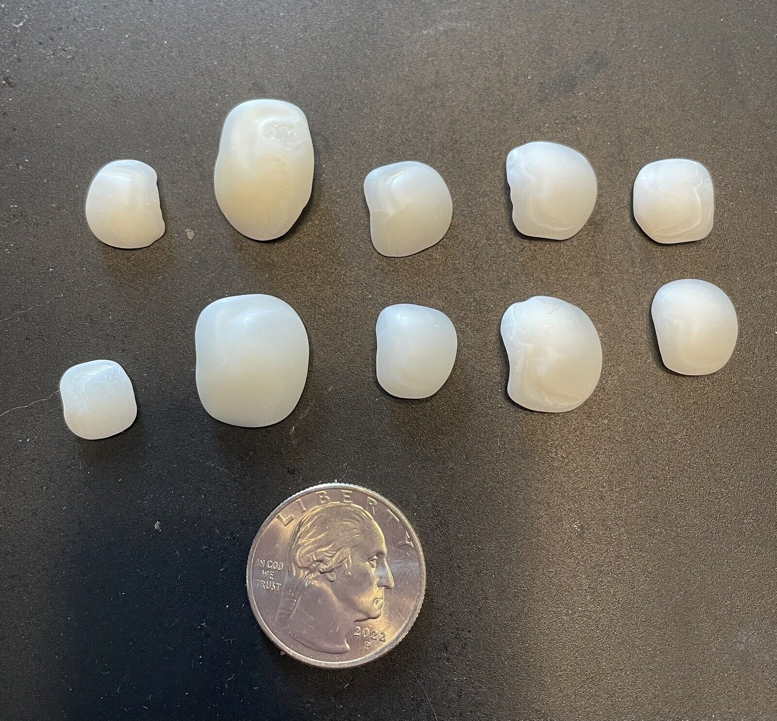 Lake Erie Lucky Stones - Otolith Bones - 10 Pieces - Various Sizes - Listing1