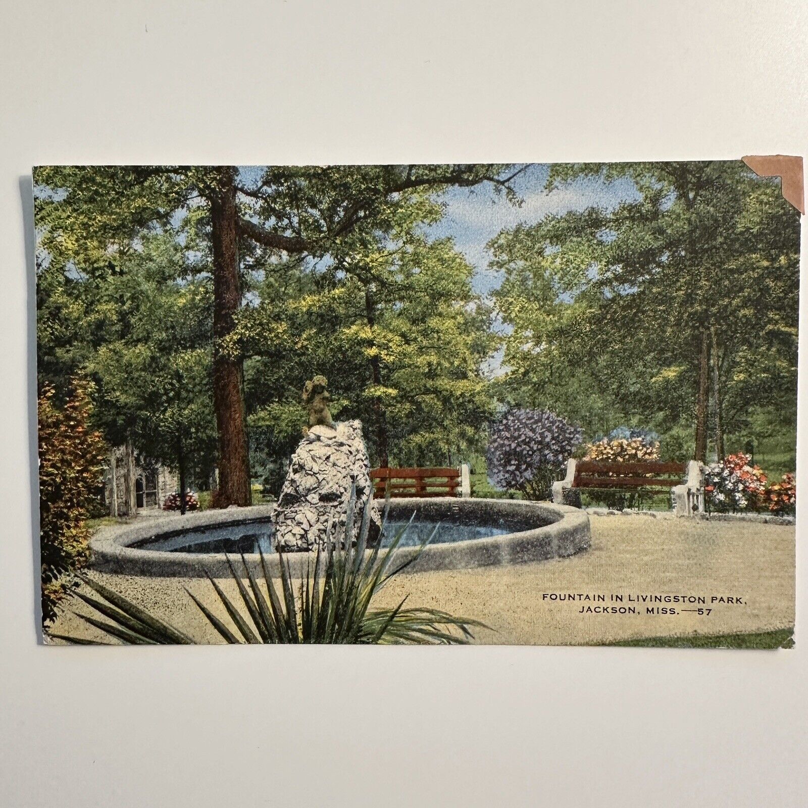 Postcard Fountain in Livingston Park Jackson Mississippi Postmarked 1947