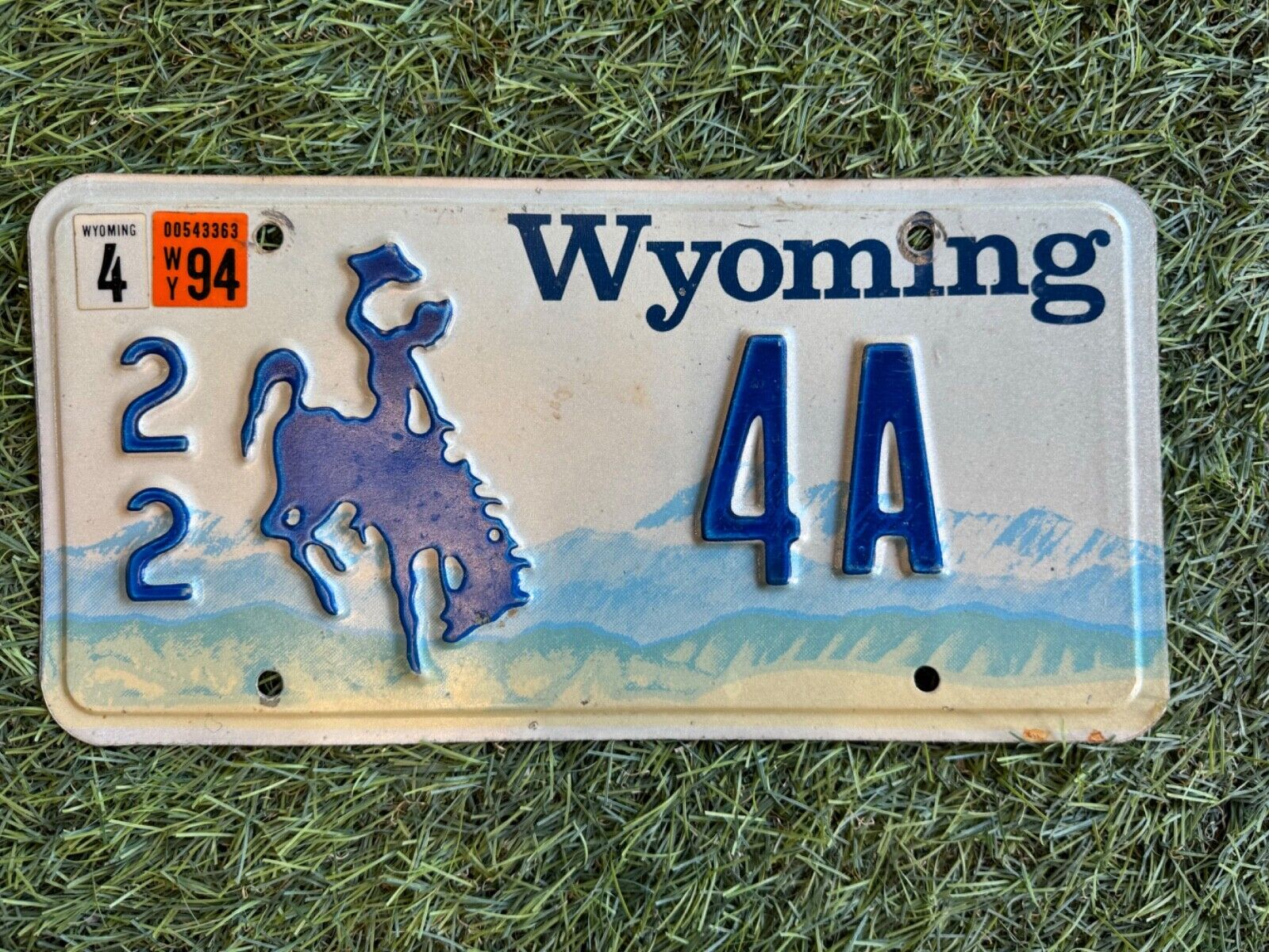 Vintage Wyoming License Plate Ford Chevy Bumpside Dentside K20 K10 F250 F100