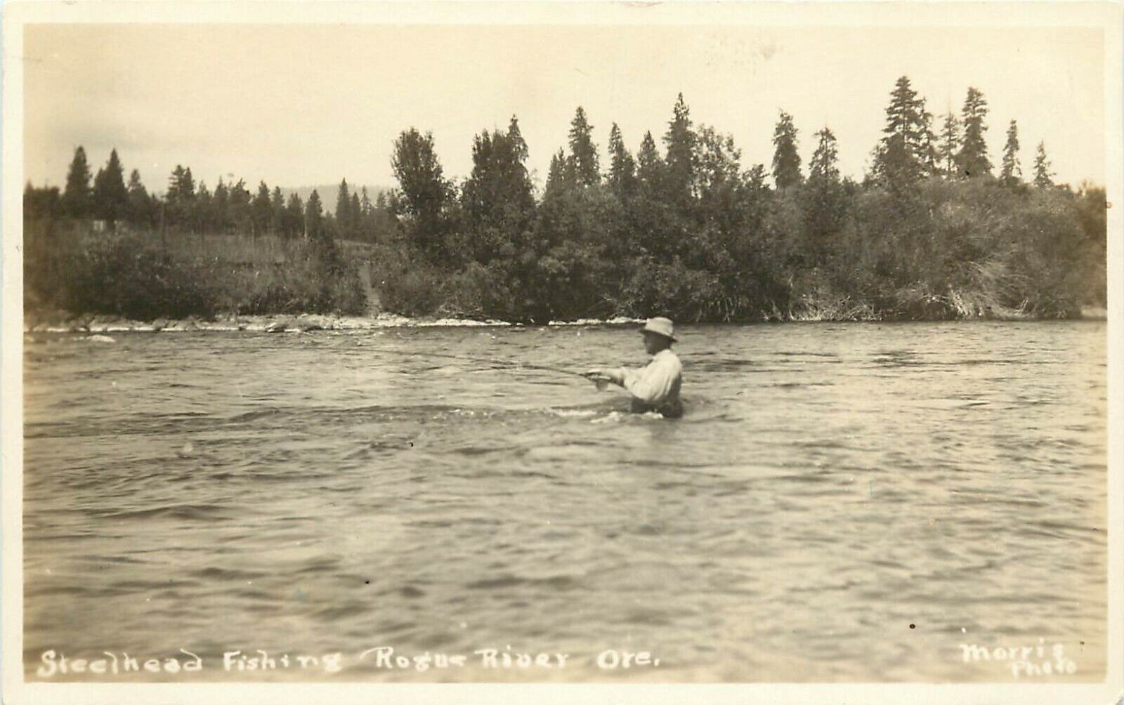 c1910s RPPC Steelhead Trout Fishing, Man in Waders in Rogue River OR, Morris