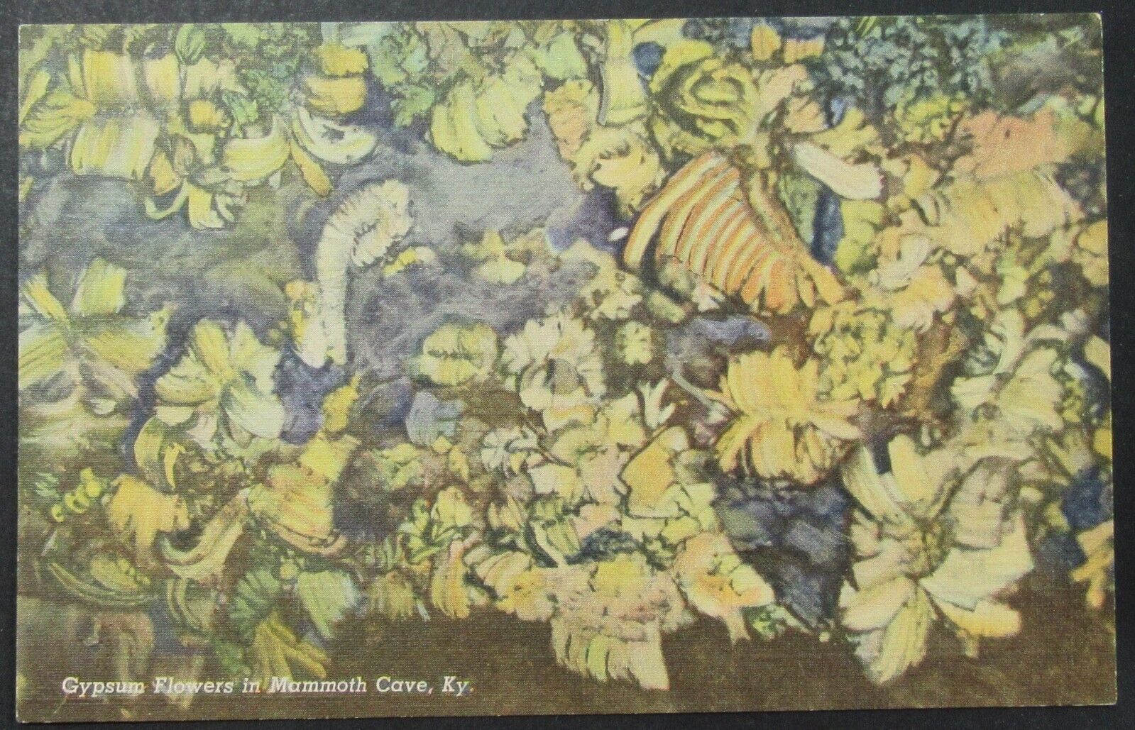 Mammoth Cave Kentucky Gypsum Flowers Vintage Teich Linen Postcard Unposted