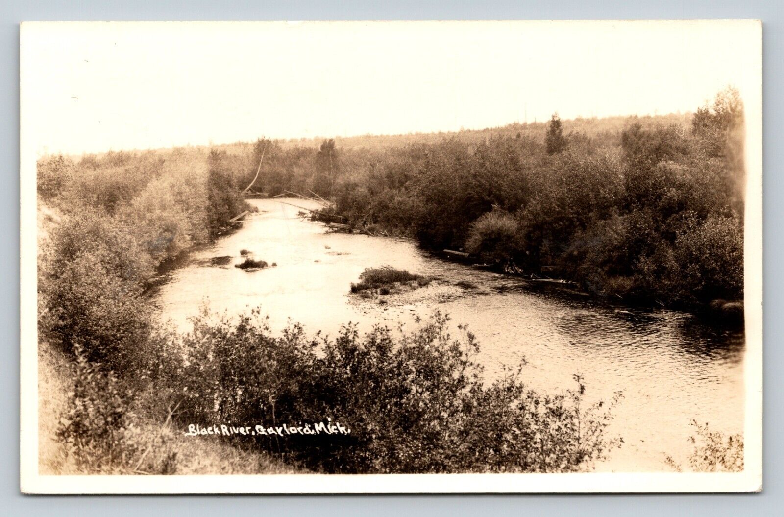 1940s RPPC Black River GAYLORD Michigan MI Shrubs VINTAGE Real Photo Postcard