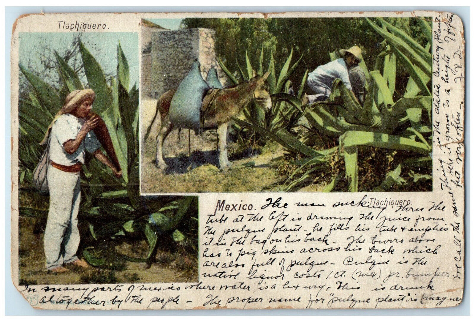 c1905 Buck Carriage Big Leaves Farm Scene Tlachiquero Mexico Multiview Postcard