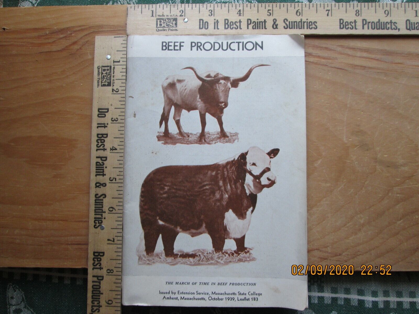 beef production extension service mass state college 1939