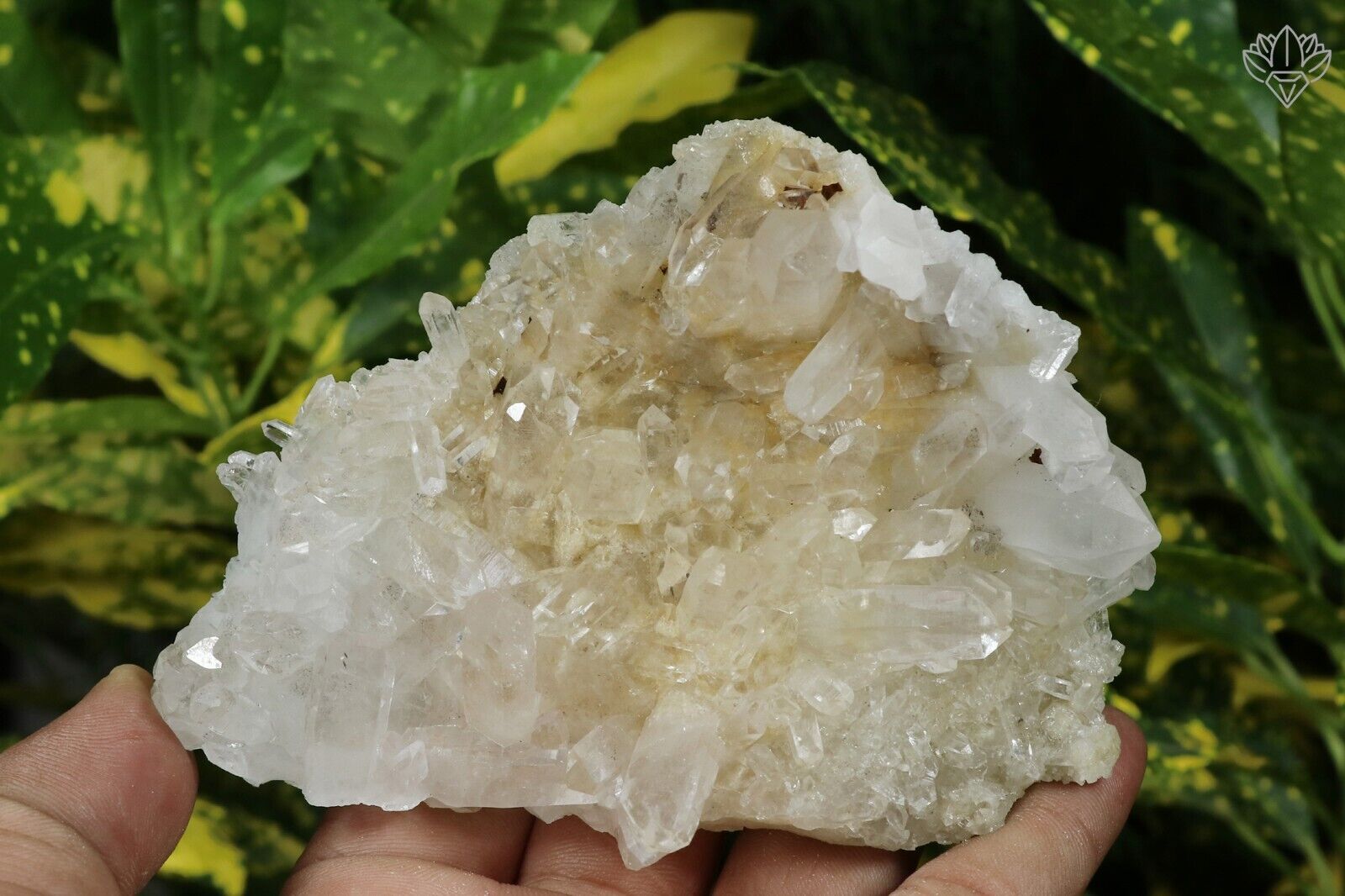 Yellow Himalayan Manikaran Quartz 221gm Healing Samadhi Crystal Quartz Specimen