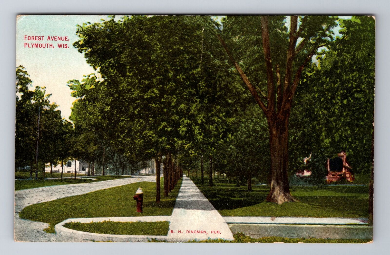 Plymouth WI-Wisconsin, Forest Avenue, Antique, Vintage Souvenir Postcard