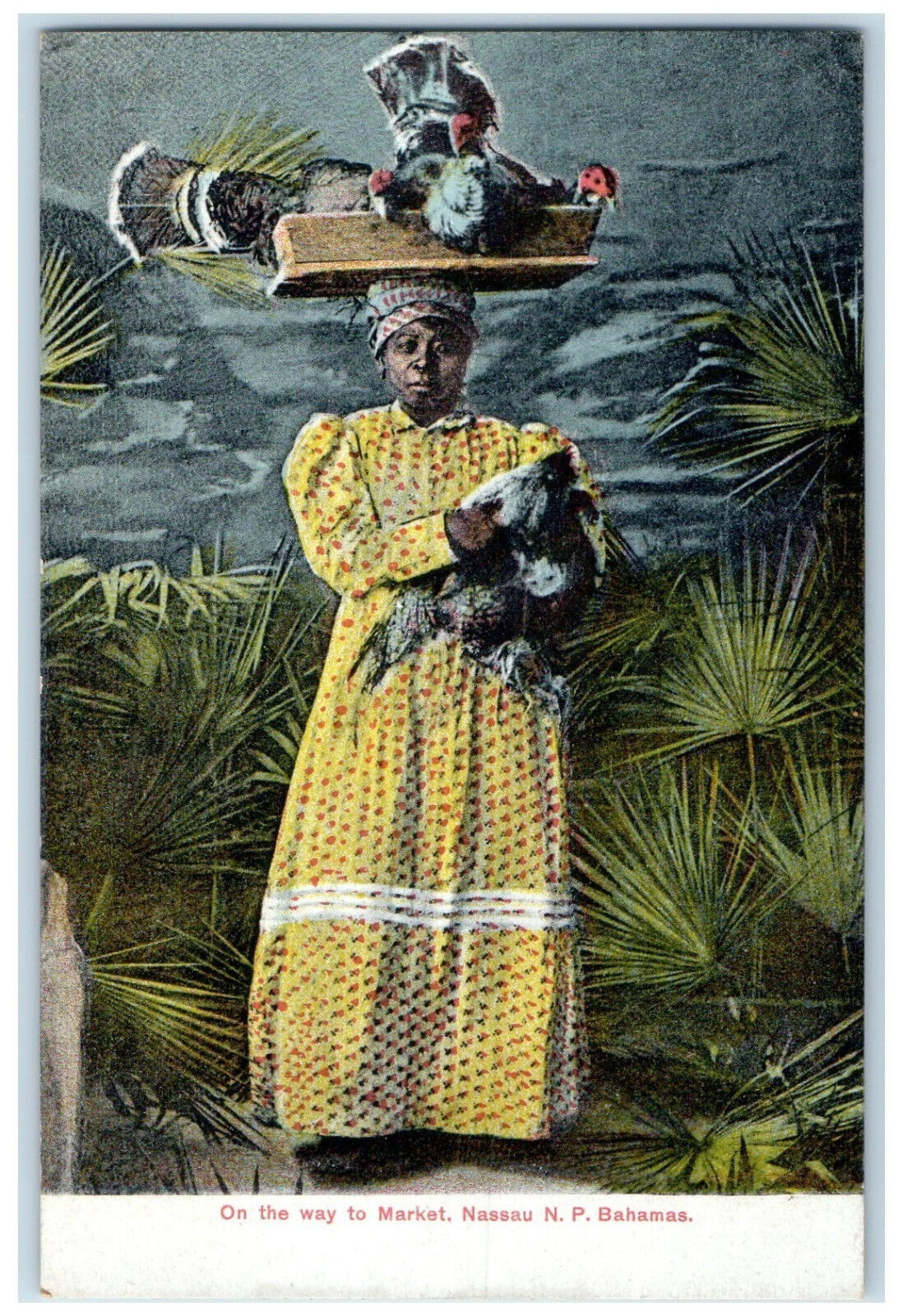 c1910 On The Way to Market Nassau N.P. Bahamas Woman with Birds Postcard