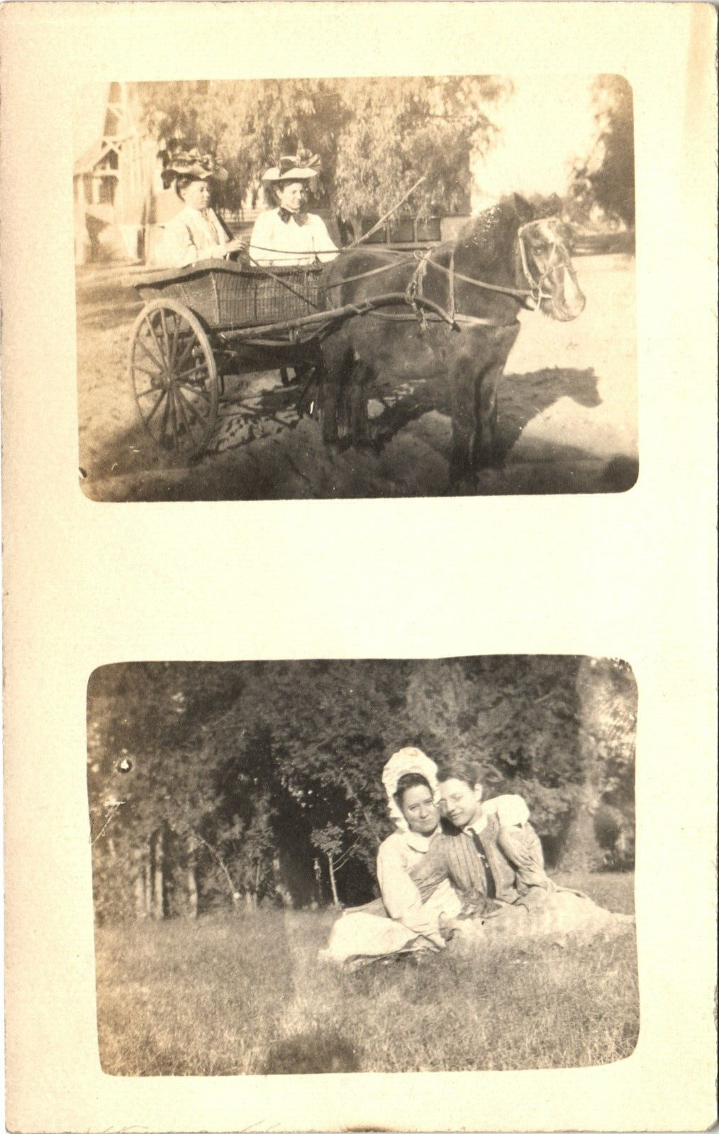 BEST FRIENDS IN WAGON antique real photo postcard rppc AFFECTIONATE LADIES c1910