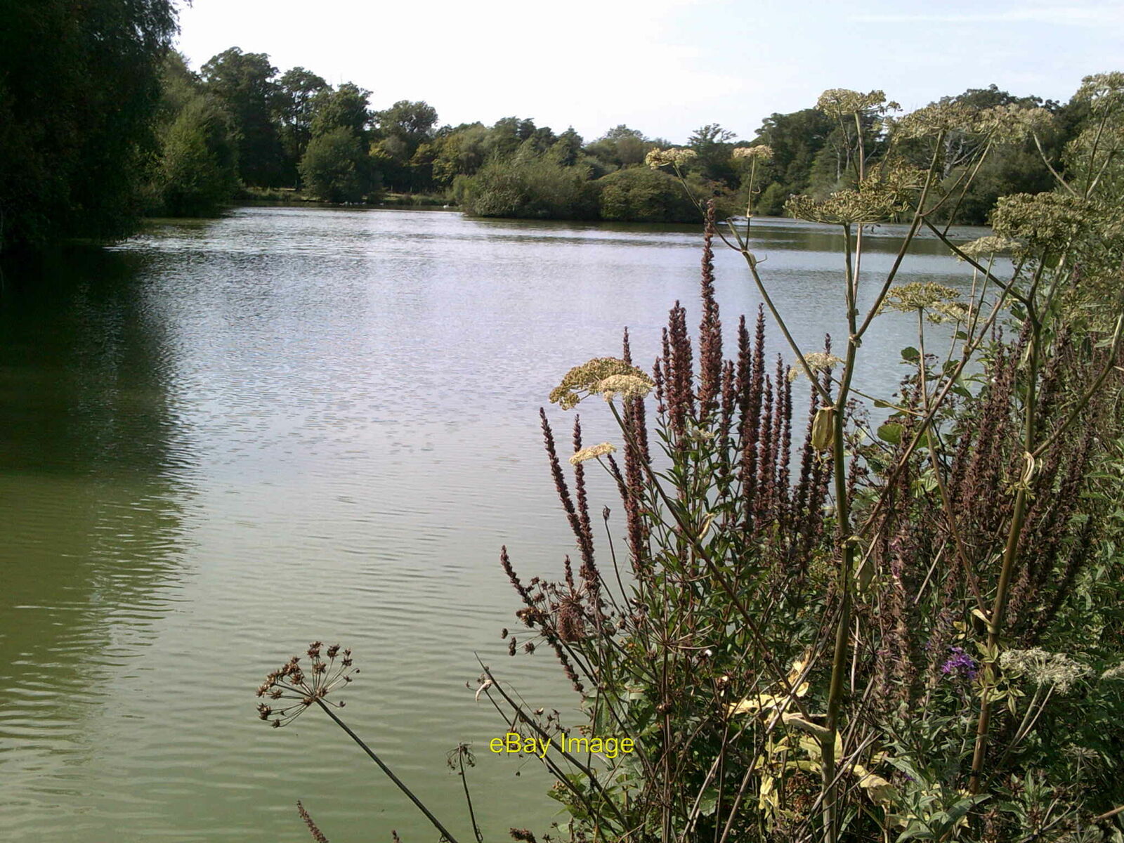 Photo 12x8 Decoy Pond, High Weald Landscape Trail Flackley Ash Shortly aft c2012