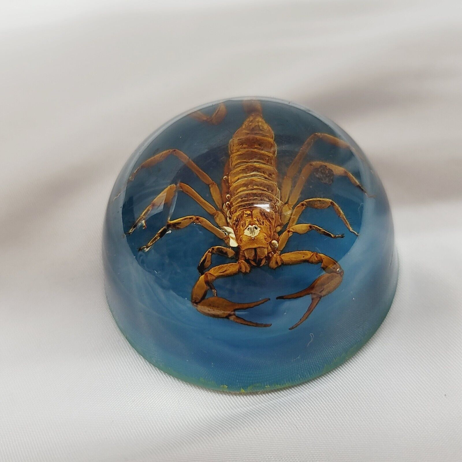 VINTAGE REAL SCORPION ROUND DOME ACRYLIC LUCITE PAPERWEIGHT BLUE FELT BOTTOM 