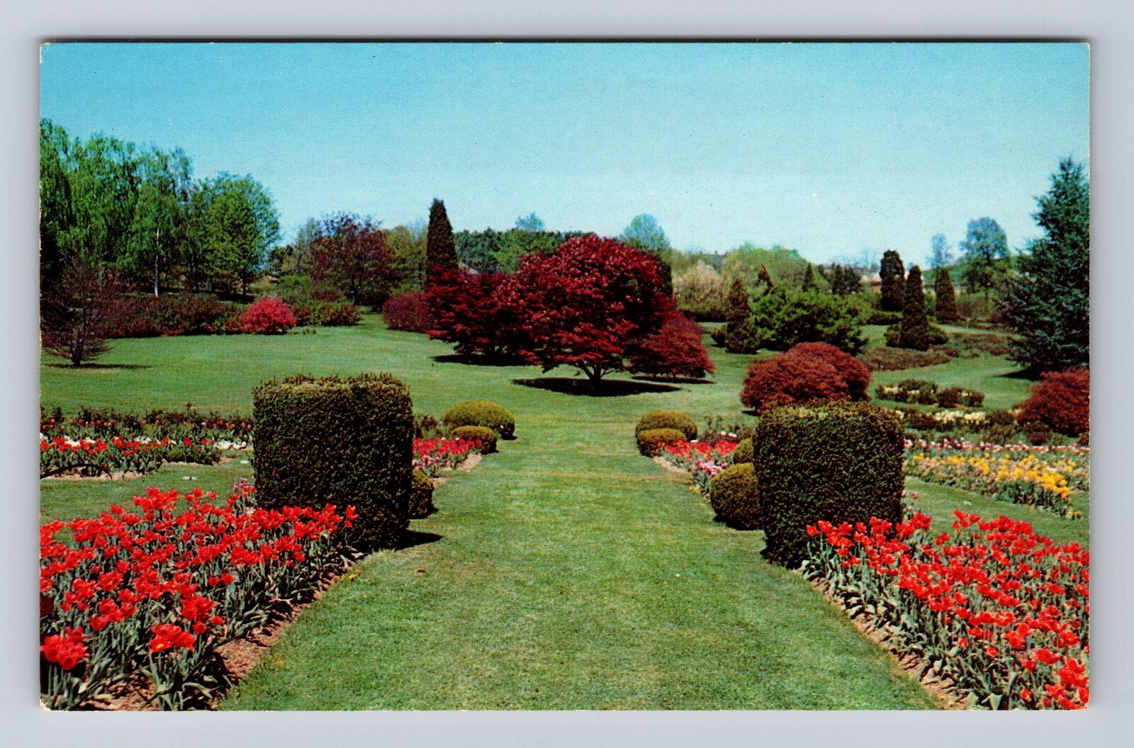 Hershey PA-Pennsylvania, Rose and Tulip Gardens, Antique Vintage Postcard