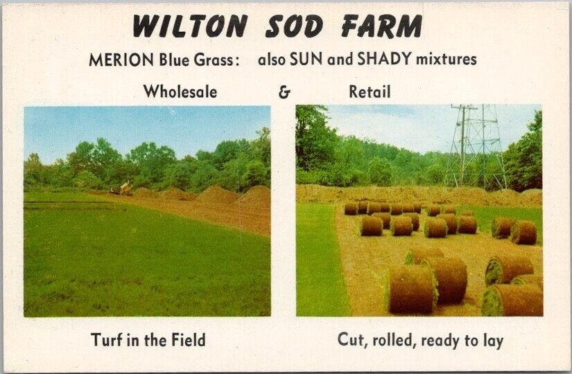 1950s Wilton, Connecticut Advertising Postcard WILTON SOD FARM Blue Turf Sales