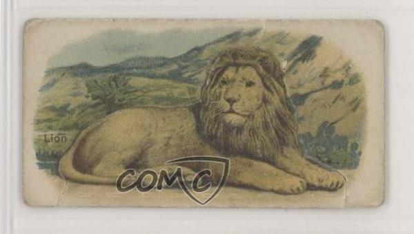 1916 Millbank Animals Stand-Ups Tobacco Lion #42 z6d