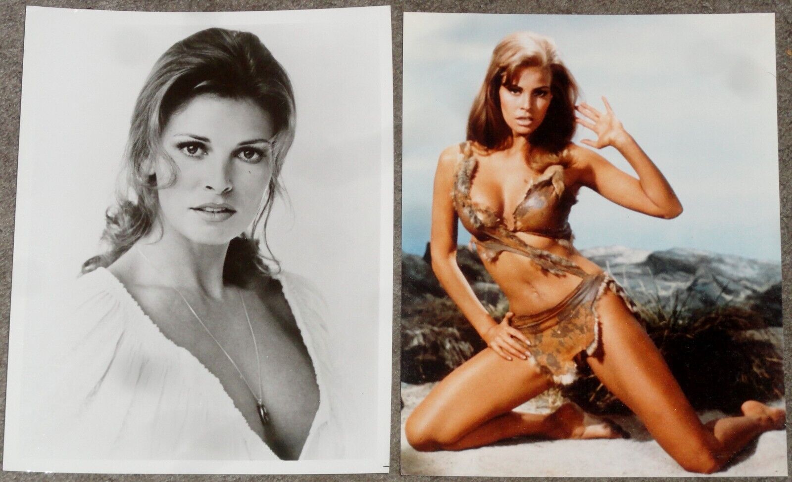 Two Gorgeous RAQUEL WELCH 8 x 10 Glossy Photos